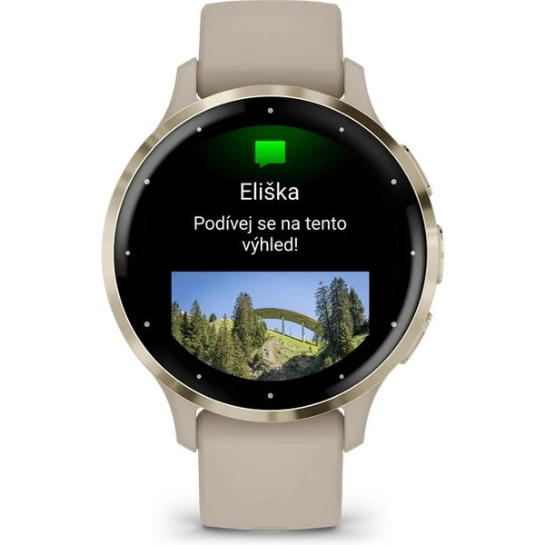 Garmin Venu 3S Cream Gold/French Gray Silicone Band - Obrázek 5