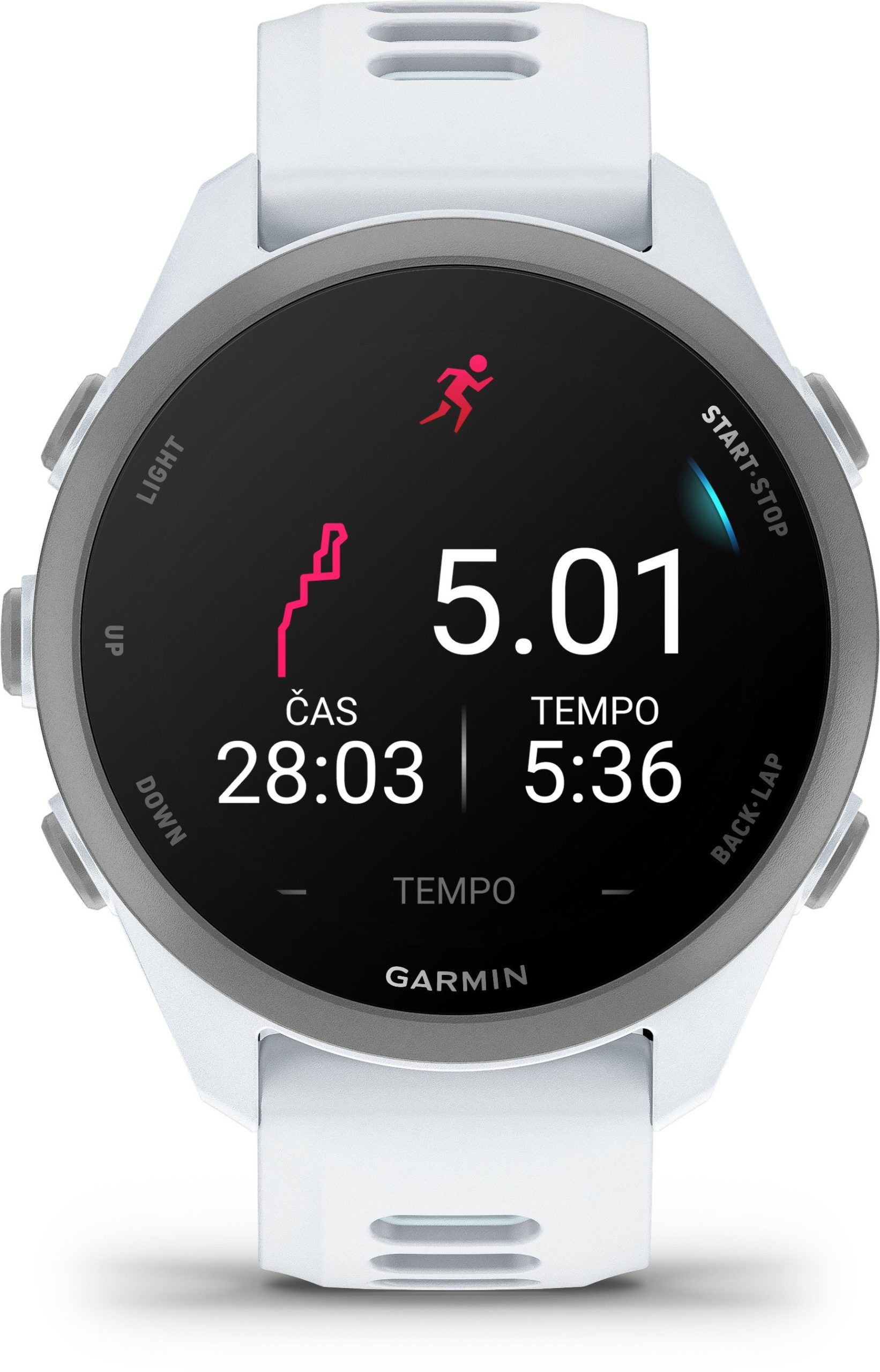 Garmin Forerunner 170 Whitestone/Cloud Blue - Obrázek 3