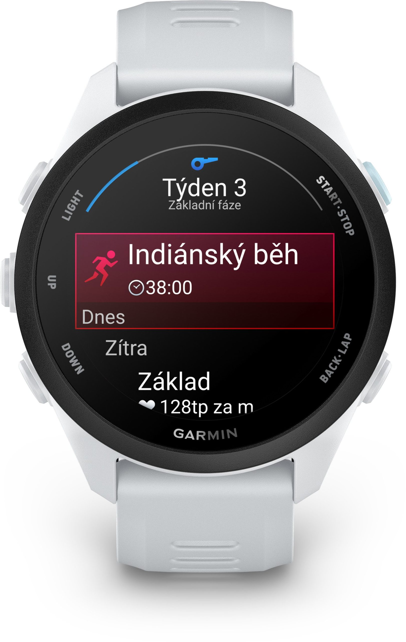 Garmin Forerunner 70 Whitestone - Obrázek 4