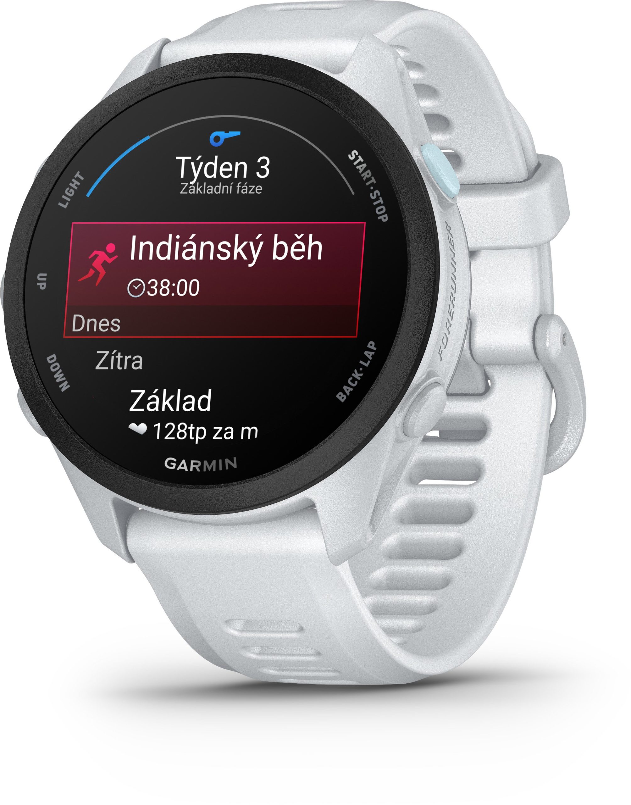 Garmin Forerunner 70 Whitestone - Obrázek 6