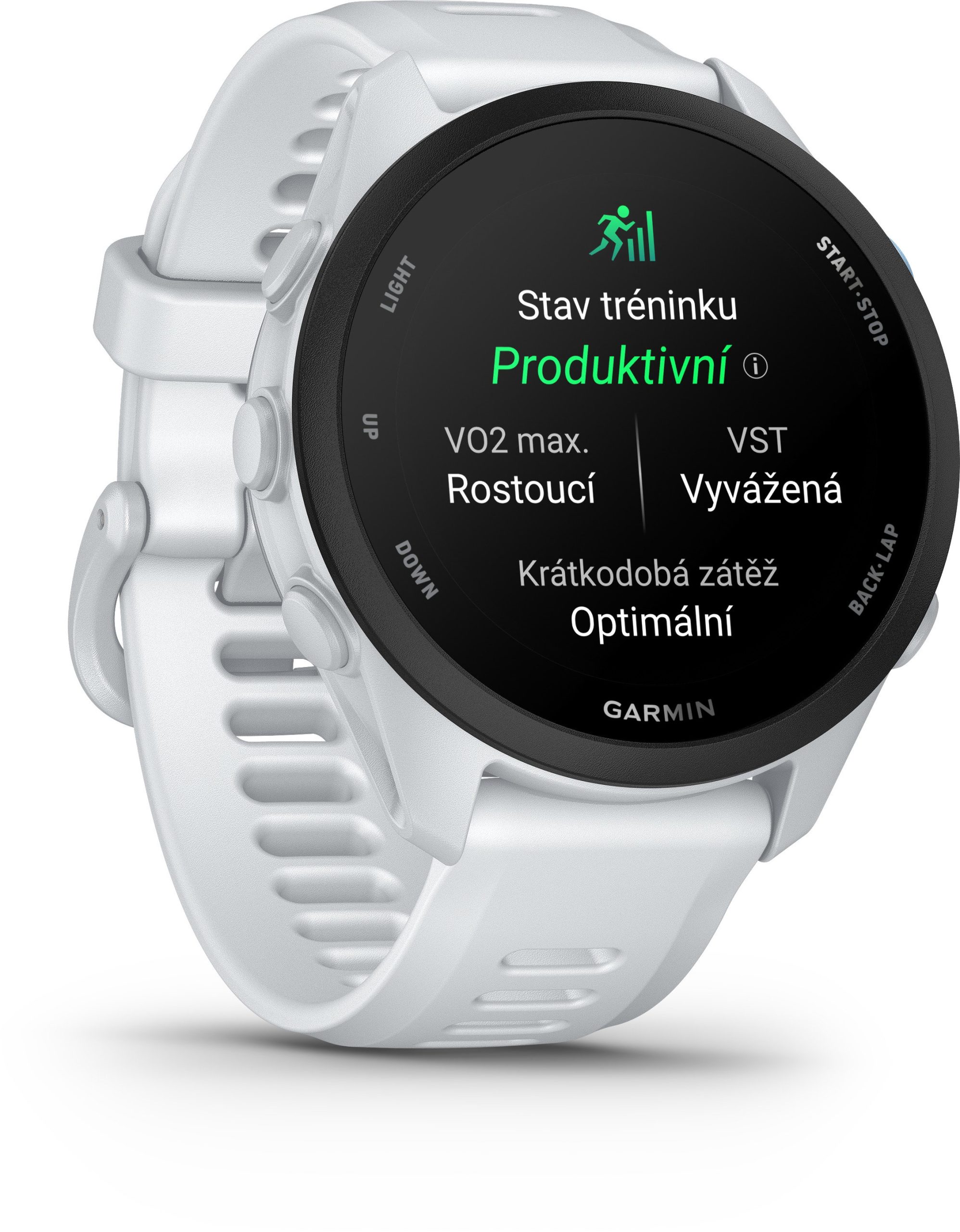 Garmin Forerunner 70 Whitestone - Obrázek 9