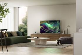 Sony KD-55X85L (KD55X85LB.CEI) - Obrázek 14
