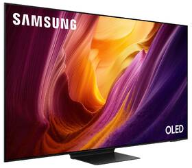 Samsung QE55S95H - Obrázek 6