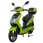 RACCEWAY E-FICHTL 20Ah zelený