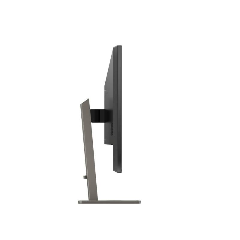 Monitor Philips 439P1/00 (439P1/00) - Obrázek 8