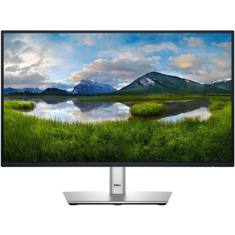 Monitor Dell Professional P2225H (210-BMHD) černý/stříbrný