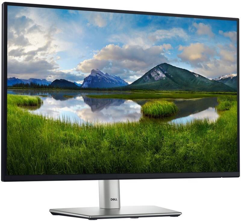 Monitor Dell Professional P2425E (210-BMJF) černý/stříbrný - Obrázek 5