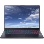 Acer Predator Helios Neo 16S AI (PHN16S-I51-97NM) (NH.U3VEC.006) černý