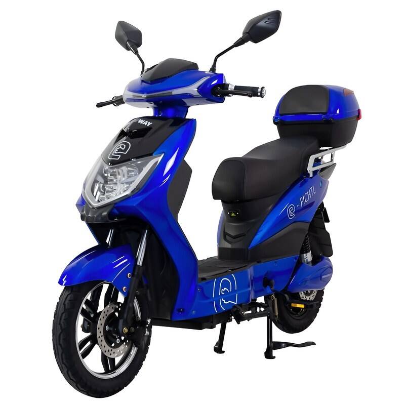 RACCEWAY E-FICHTL 20Ah modrý