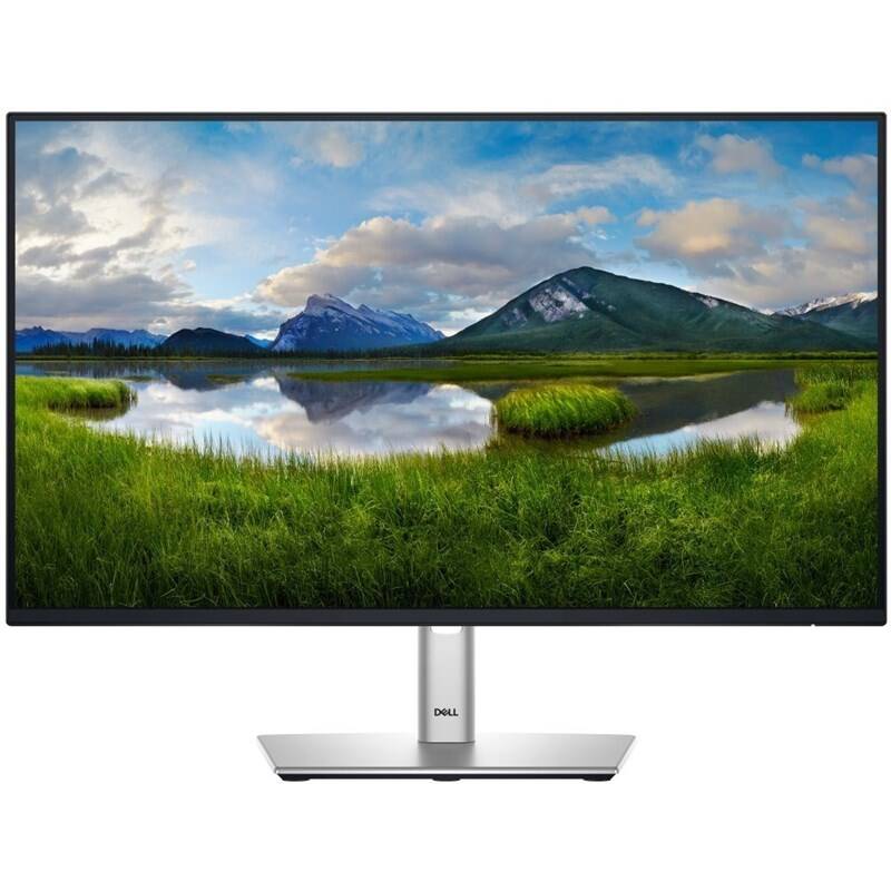 Monitor Dell Professional P2425HE (210-BMJB) černý/stříbrný